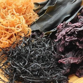 Locust Beans, Seaweeds & Sugar Beet