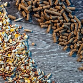 Bran, Sharps & Milling Residues