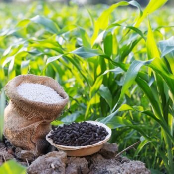 Vegetable Based Fertilizers