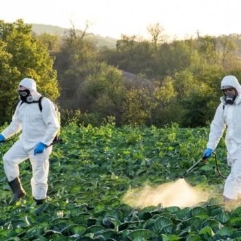 Herbal Pesticides & Insecticides