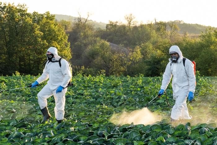 Herbal Pesticides & Insecticides