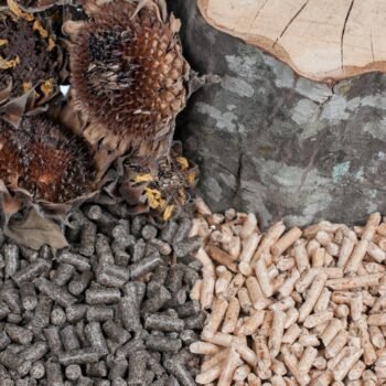 Premium Wood Pellets | HS Code 440131