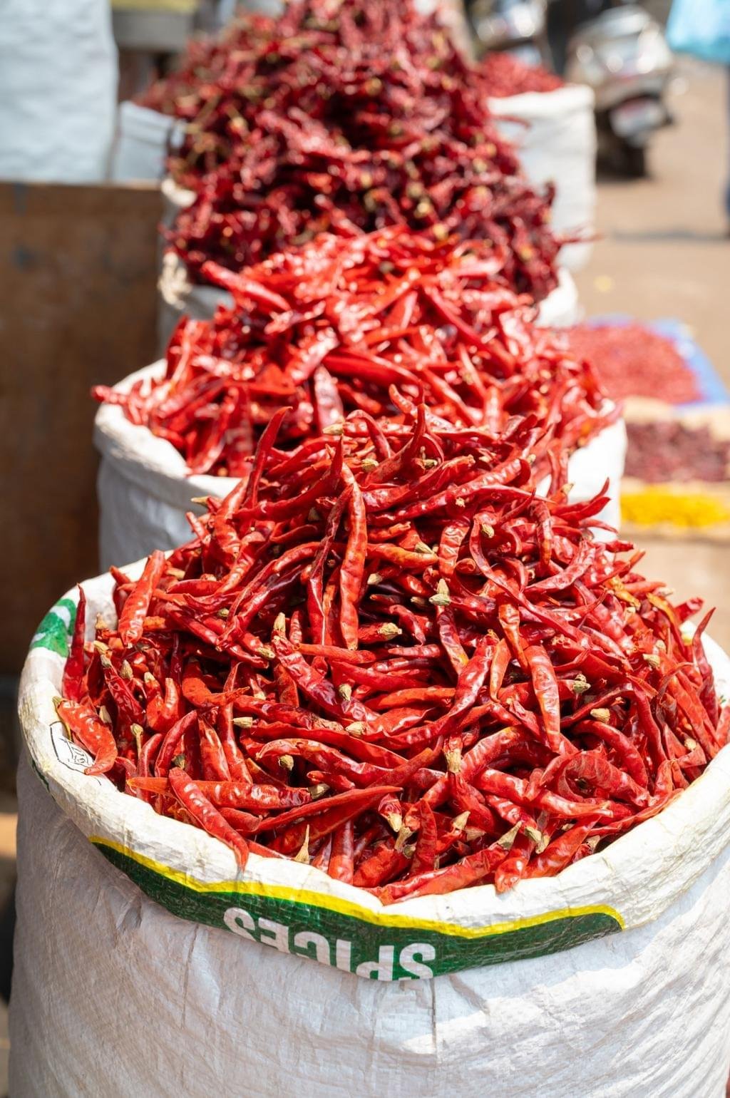 Dried Red Chilli – Bild 2