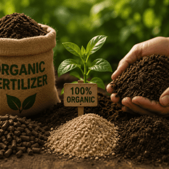 Organic Fertilizers