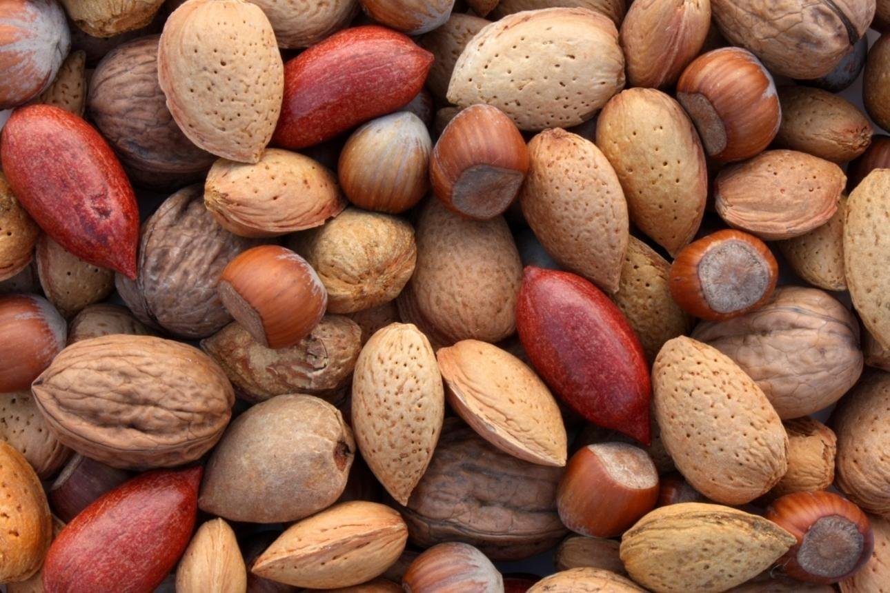 Oil Seeds & Oleaginous Fruits – Bild 2
