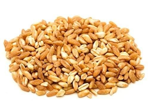 Wheat Grain – Bild 4